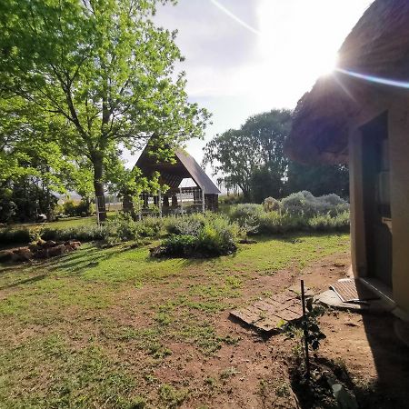 Drakensberg Bush Lodge And Backpackers وينترتون المظهر الخارجي الصورة