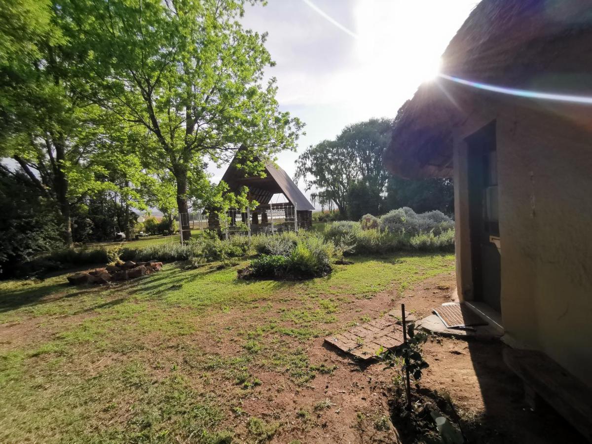 Drakensberg Bush Lodge And Backpackers وينترتون المظهر الخارجي الصورة