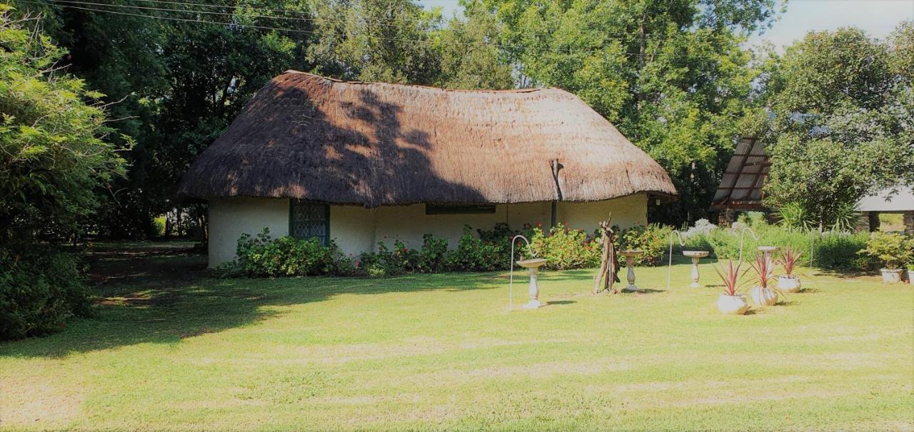 Drakensberg Bush Lodge And Backpackers وينترتون المظهر الخارجي الصورة