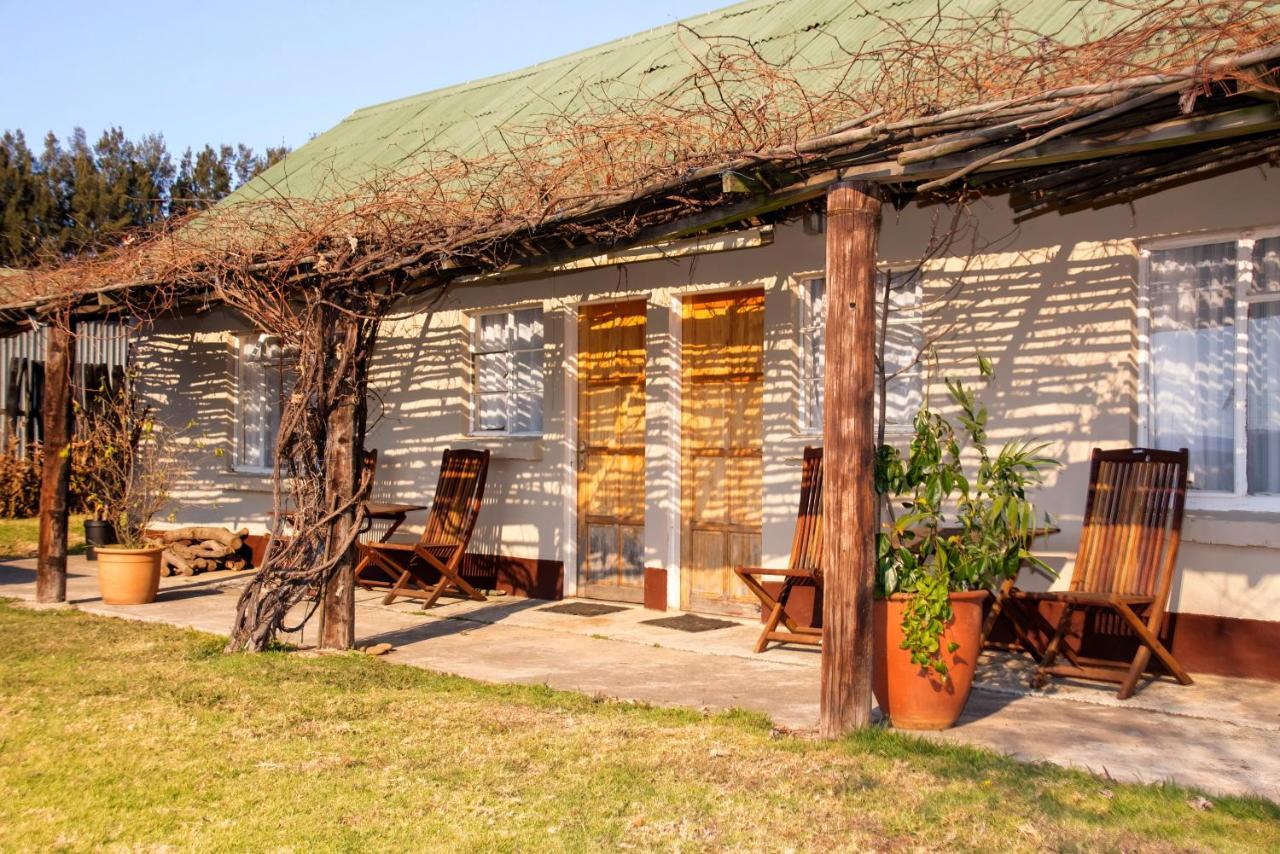 Drakensberg Bush Lodge And Backpackers وينترتون المظهر الخارجي الصورة
