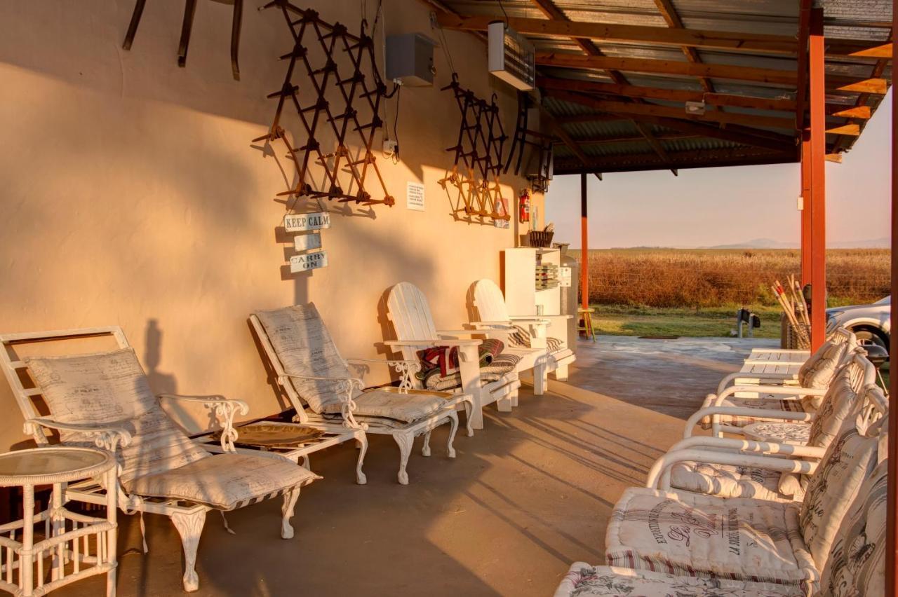 Drakensberg Bush Lodge And Backpackers وينترتون المظهر الخارجي الصورة