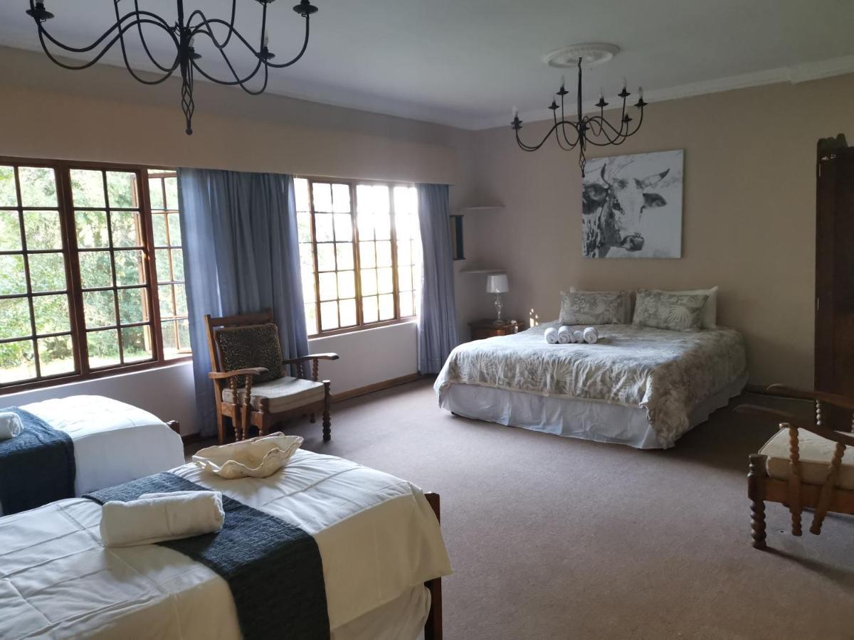 Drakensberg Bush Lodge And Backpackers وينترتون المظهر الخارجي الصورة