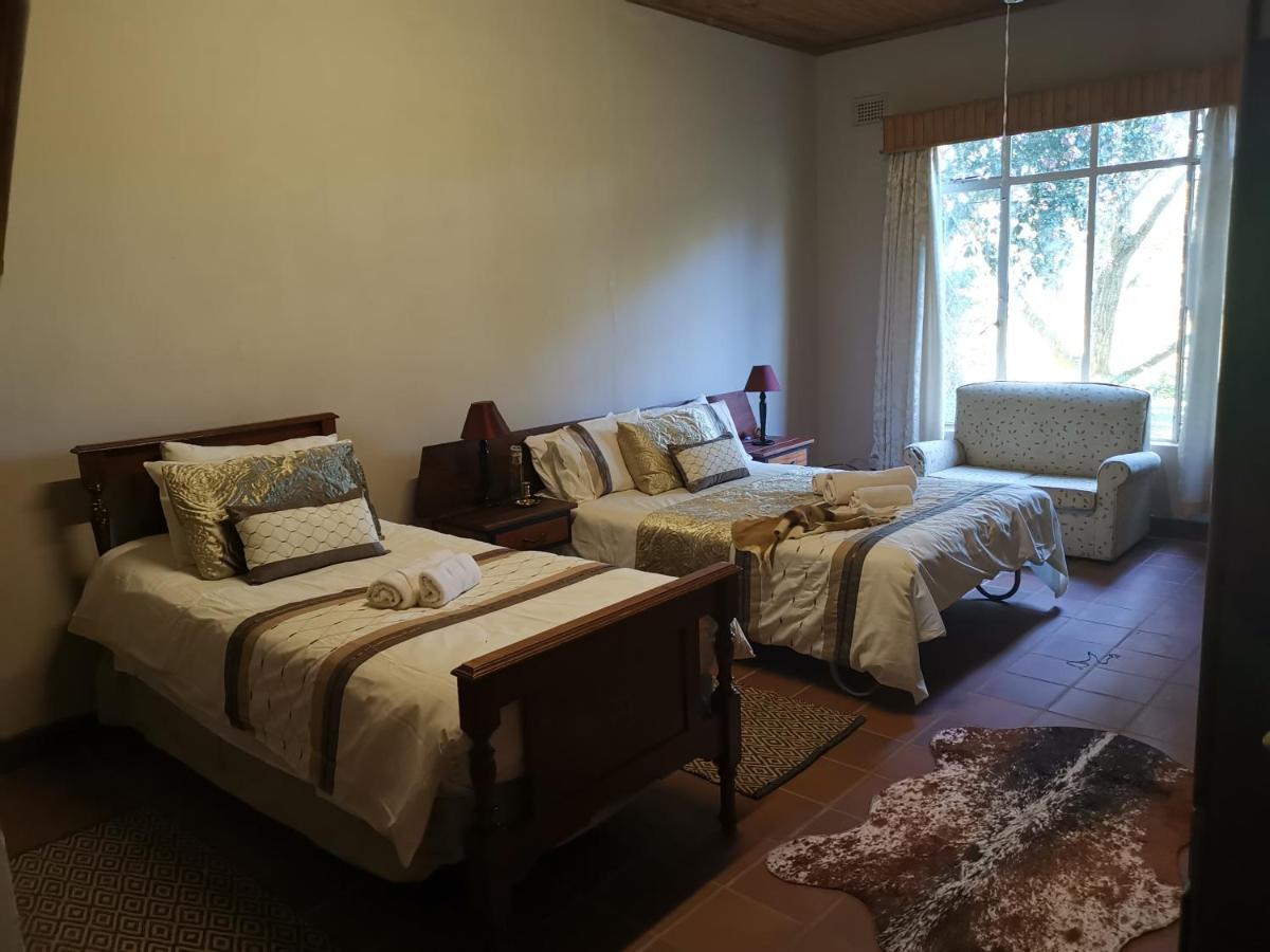 Drakensberg Bush Lodge And Backpackers وينترتون المظهر الخارجي الصورة